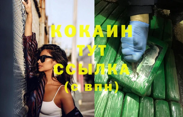 молекула духа Заволжье