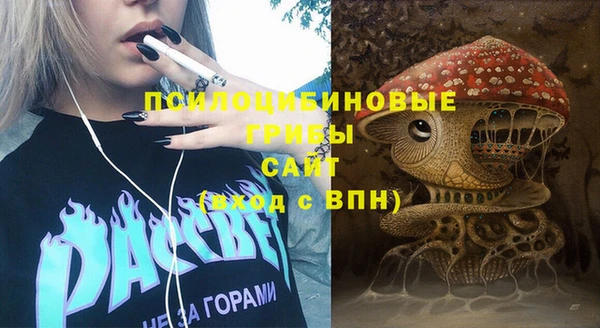 молекула духа Заволжье