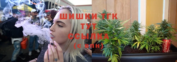 молекула духа Заволжье
