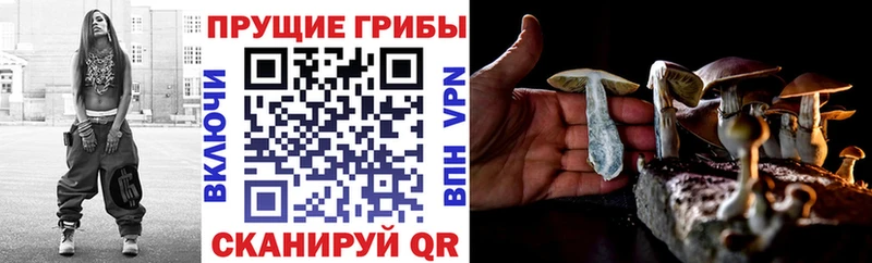 Псилоцибиновые грибы Magic Shrooms  Купить закладки  Вилюйск 